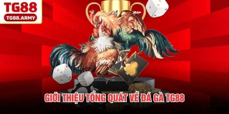 Giới thiệu tổng quát về đá gà TG88