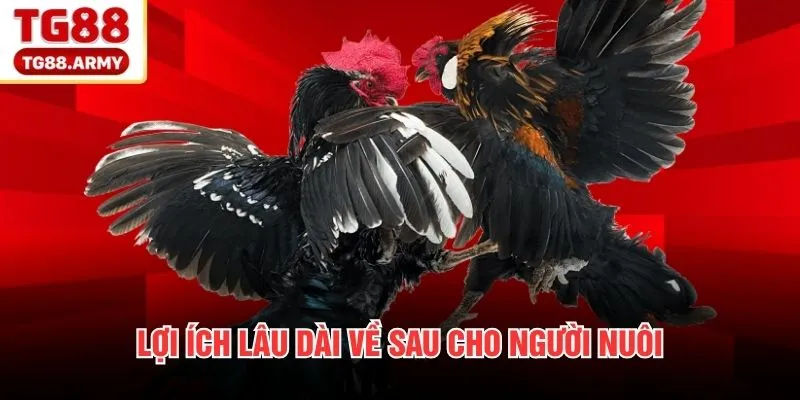 Lợi ích lâu dài về sau cho người nuôi