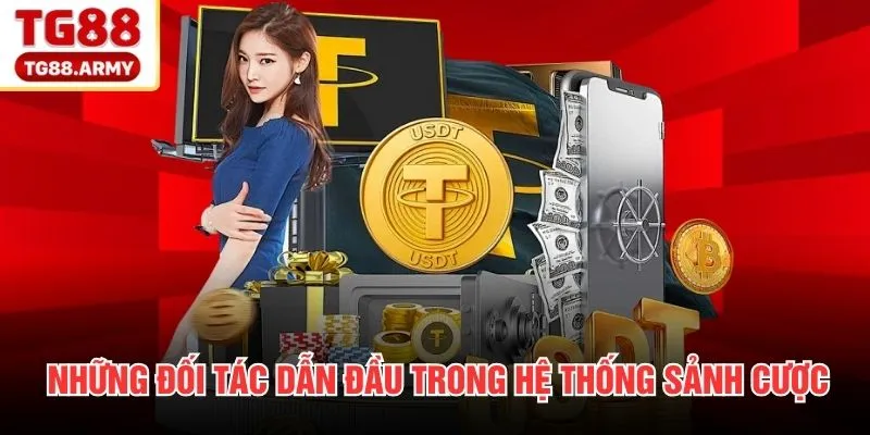 Những đối tác dẫn đầu trong hệ thống sảnh cược