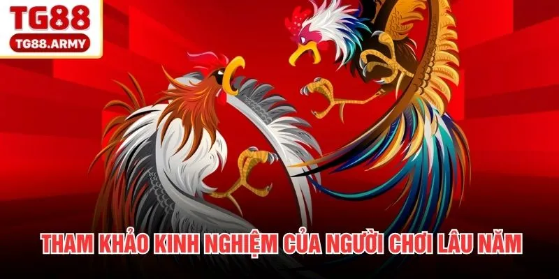 Tham khảo kinh nghiệm của người chơi lâu năm
